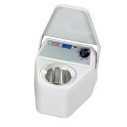 Baie de ceara "Hotty ", Renfert