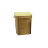 Gips Fujirock Pastel Yellow  11kg  GC