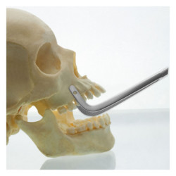 Penseta chirurgicala Arnohold 220 mm curba, Medesy 1541