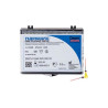 Thermafil, 30 buc, Dentsply