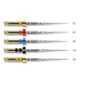Pro Taper NEXT, 31 mm, 3 buc, Dentsply