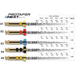 Pro Taper NEXT, 31 mm, 3 buc, Dentsply