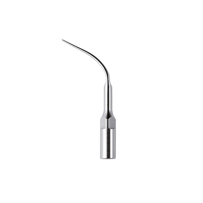 Ansa 202 pentru scaler Piezo, KaVo