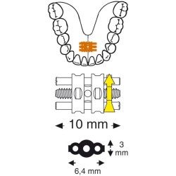Șurub ortodontic A0800-10, Leone