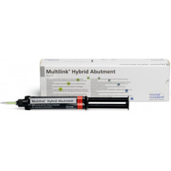 Multilink Hybrid Abutment...