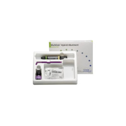 Multilink Hybrid Abutment...