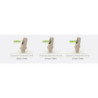 15° Peek Esthetic Abutment