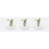 25° Peek Esthetic Abutment