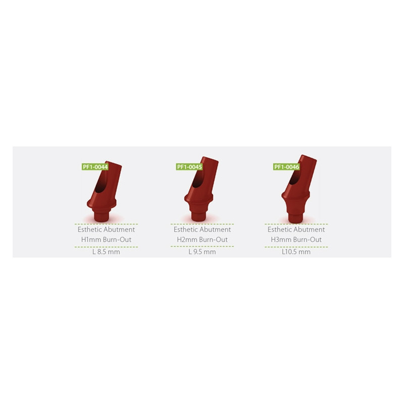 Burn-Out Esthetic Abutment 25°