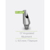 15° Angulated Abutment