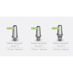 Esthetic Abutment