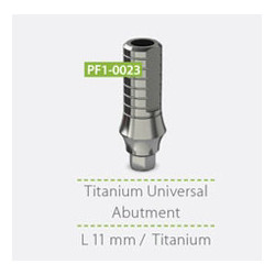 Titanium Universal Abutment