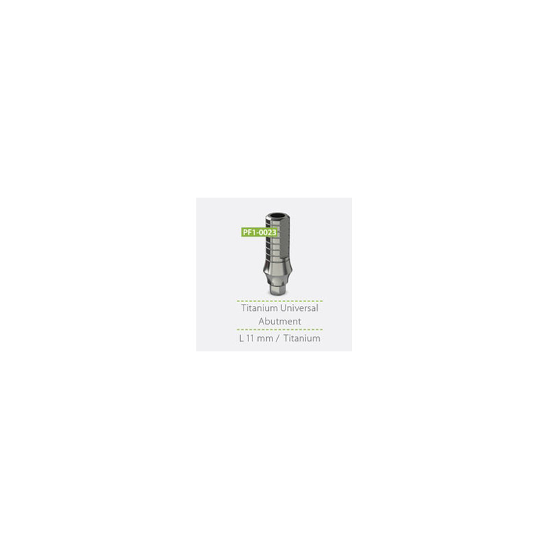 Titanium Universal Abutment