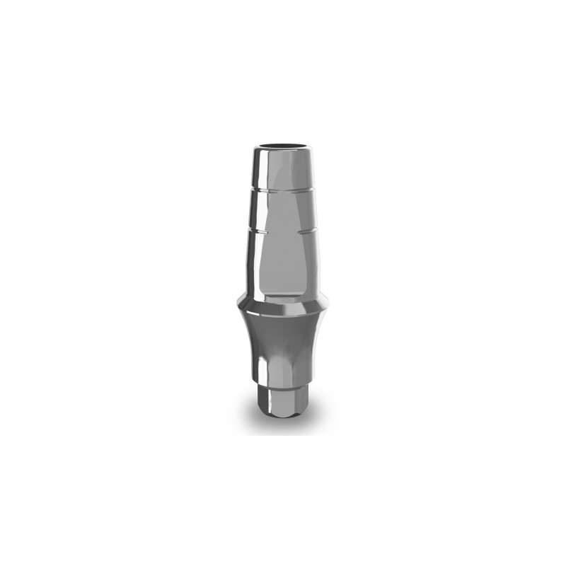 Anatomic Abutment H4mm L8mm