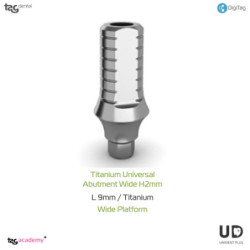 Titanium universal abutment Wide H2mm